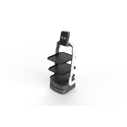 Orion Star | OS-R-DR01 AI Delivery Robot-LuckiBot