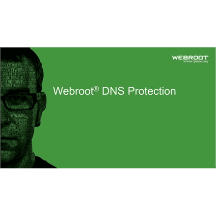 Webroot | DNS Protection with GSM Console | 1 year(s) | License quantity 1-9 user(s) – nuotrauka 1