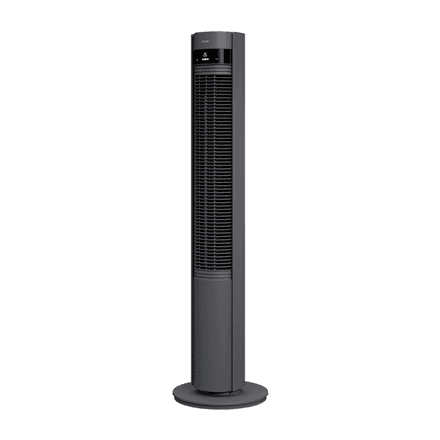 Duux Fan – nuotrauka 1