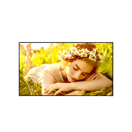 LG 4K UHD Signage 65UL5Q-E – image 1