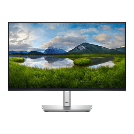 Dell P2425H – nuotrauka 1