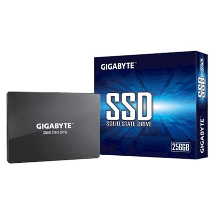 Gigabyte GP-GSTFS31256GTND – nuotrauka 1
