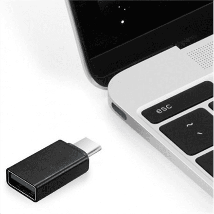 Gembird | USB 2.0 Type-C adapter (CM/AF) | Type-C | USB – nuotrauka 1
