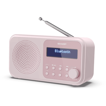Sharp Tokyo Digital Radio – nuotrauka 1
